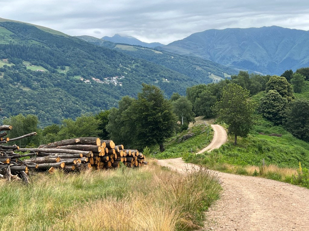 A ordem natural das&nbsp;coisas