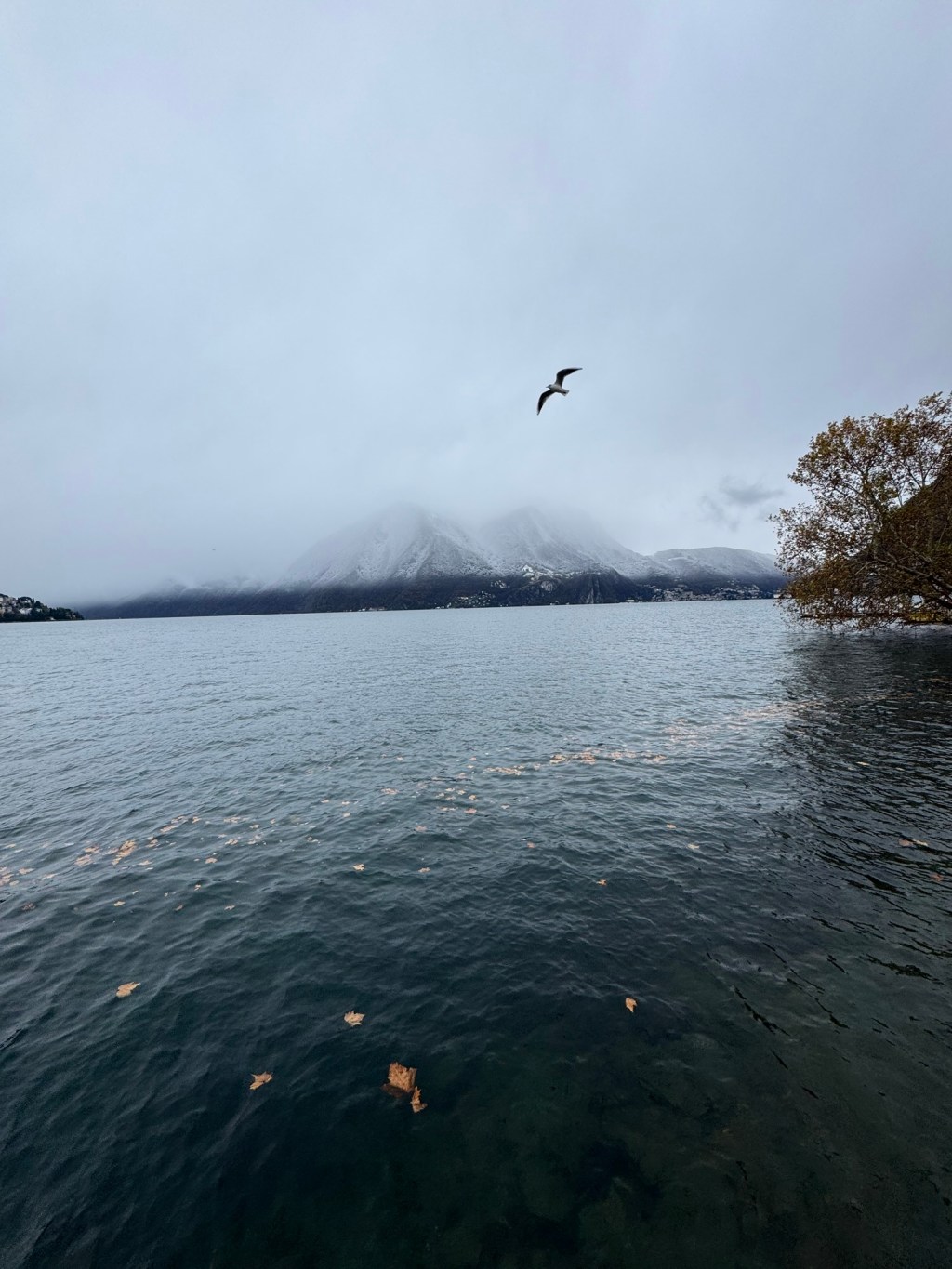 Carta a um amigo&nbsp;imaginário